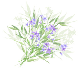Bunch of bellflowers, hand drawn vector illustration, imitation of watercolor painting.