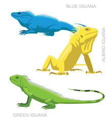 Obraz premium Lizard Iguana Set Cartoon Vector Illustration