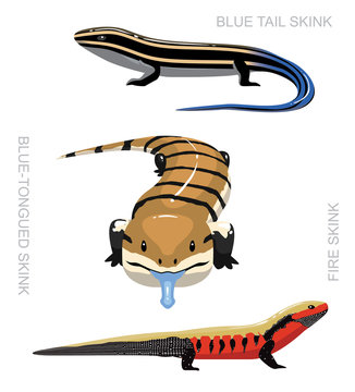 Lizard Skink Set Cartoon Vector Illustration