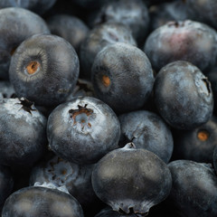 Surface coated with the blueberries