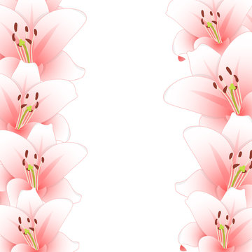 Pink Lily Flower Border isolated on White Background