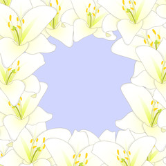 White Lily Flower Border isolated on Purple Background