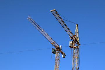 cranes in the sky