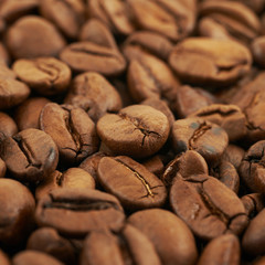 Surface coated with the coffee beans
