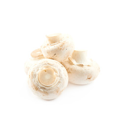 Raw champignon composition