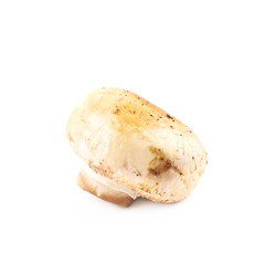 Fried champignon composition