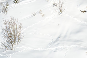 Fototapeta na wymiar Snow traces 