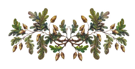 Watercolor oak branch decoration - obrazy, fototapety, plakaty