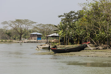 Landscape with tropical vegetation and houses on a riverside in Bangladesh
