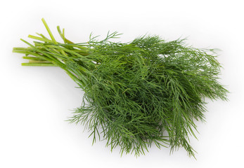 Fresh dill on white background