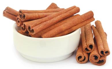 Bunch of some fresh aromatic cinnamon
