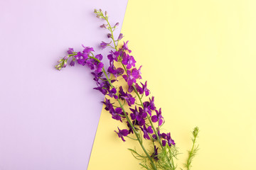 bouquet of purple bellflowers