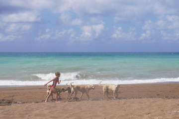 Fototapeta na wymiar Girl in a red swimsuit walk along the beach next to large white stray dogs. children and dogs at sea.