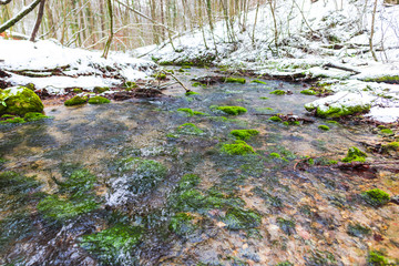 Frozen wild river inside of the forest