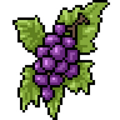 Obraz premium vector pixel art grape