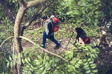 Trekking in a forest