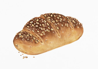 Freshly baked multigrain bread hand-drawn illustration