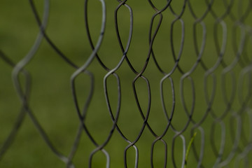 Fototapeta premium wire fence and green background. cattle fence