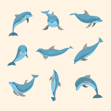 Cartoon Characters Funny Dolphin Set. Vector