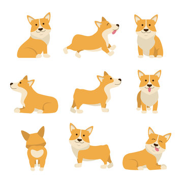 Cartoon Characters Welsh Corgi Set. Vector