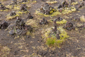 Volcanic lava stones. Natural background of icelandic landscape