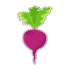 Ripe Beetroot Flat Vector Isolated Sticker or Icon