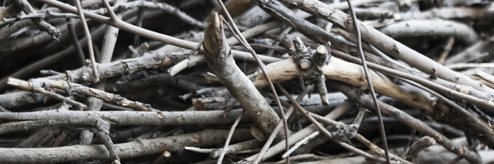 Dry tree branches - waste of timber industry. Pile of wood branches debris, pebbles or gravel background.
