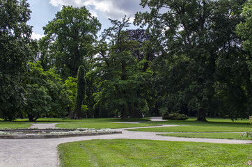 ogród park  © wedrownik52