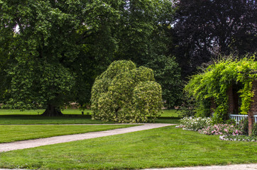 ogród park  © wedrownik52
