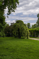 ogród park  © wedrownik52