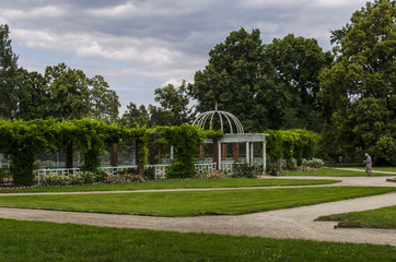 ogród park  © wedrownik52
