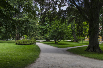 ogród park  © wedrownik52