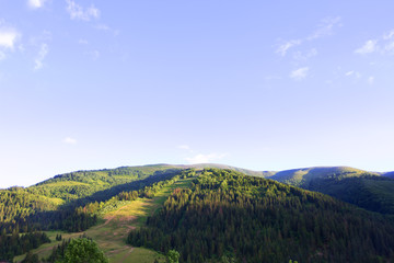 Mountain landscape .Beautiful nature background with green coniferous forest ,mountain peaks and blue sky.Carpathians Mountains,Ukraine