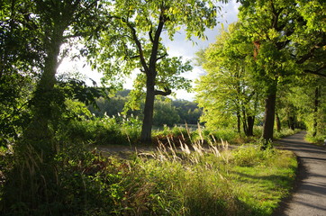 Obraz premium Beautiful autumn