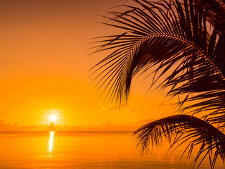 Beautiful tropical beach sea and ocean with coconut palm tree at sunrise time