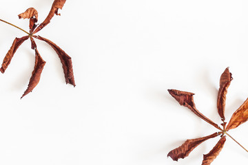 Autumn composition. Frame made of autumn dried leaves on white background. Flat lay, top view, copy space