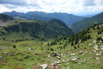 Fototapeta na wymiar Lagorai mountain range in the eastern Alps in Trentino, Italy