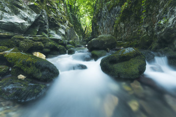 Obraz premium Water flows down a gentle, rocky stream in the mountains surrounded by lush green foliage in this long exposure scenic landscape.