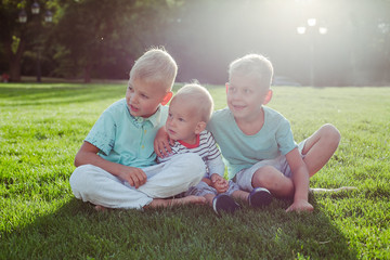 The three brothers are resting on the Meadow 