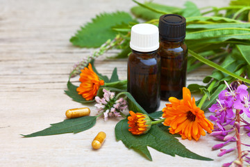 Medical preparations based on medicinal herbs. Flowers of calendula (marigold), epilobium (willow-herb), motherwort (leonurus) on old wooden board. Close-up view. Place for text