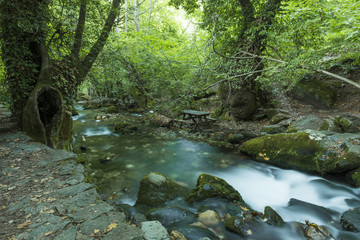 Water flows down a gentle, rocky stream in the mountains surrounded by lush green foliage in this long exposure scenic landscape.