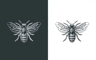 Honigbienen-Logo. Handgezeichnete Illustrationen im Gravurstil. © irina
