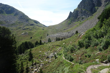 Naklejka premium Lagorai mountain range in the eastern Alps in Trentino, Italy