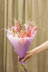 Bouquet of dried flowers spikelets in pink floral paper in woman's hand on beige background