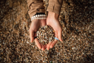 girl holding various mediterranean sea shells in hands closeup