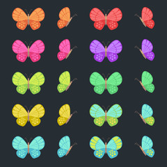 Colored butterflies isolated on dark background. Flat vector butterfly set.