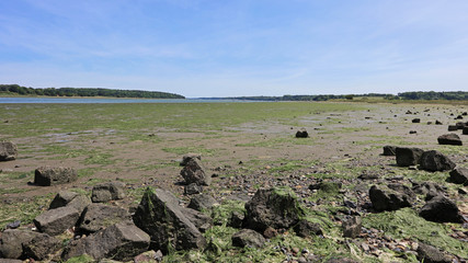 The River Orwell Estuary