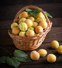Ripe apricots in a brown wicker basket