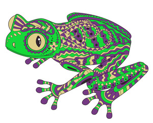 Coloried frog in patterned style.