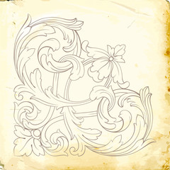 Vector baroque of vintage elements for design. 